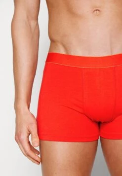 Pier One 7 PACK - Panties - Black /dark Blue/red 11 Pier One 7 PACK - Panties - Black /dark Blue/red -Kleidung PierOne Store 005fcc1fa5b04046b02e34977f020016