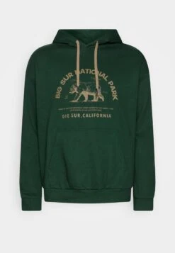 Pier One Sweatshirt - Dark Green -Kleidung PierOne Store 3124605bf2f845a4ba247b442c64f8a2 1