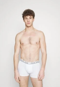 Pier One 5 PACK - Panties - White/pink/light Blue 9 Pier One 5 PACK - Panties - White/pink/light Blue -Kleidung PierOne Store 3721024dbc554890a6059d1e8168907f