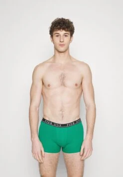 Pier One 5 PACK - Panties - Light Grey/black/green 8 Pier One 5 PACK - Panties - Light Grey/black/green -Kleidung PierOne Store 848816986ca24fbcb5e57aec8f8eb96c