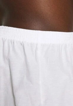 Pier One 5 PACK - Boxershorts - Light Blue/white -Kleidung PierOne Store 8e2664e226c041628a342c1ad591e54d