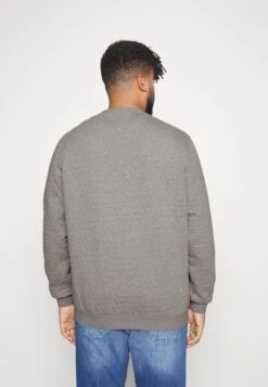 Pier One Sweatshirt - Grey -Kleidung PierOne Store c564088c3a73467da691477ad379a634