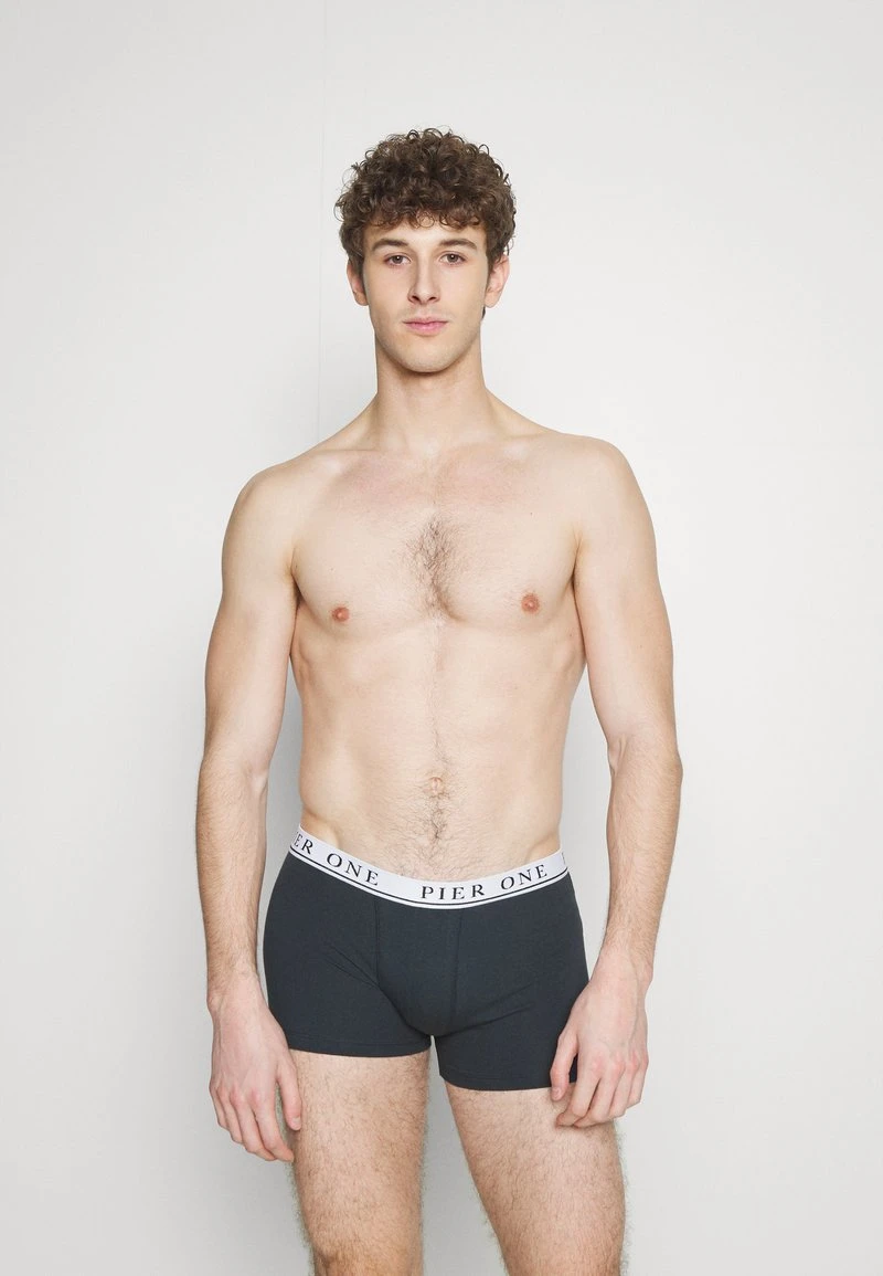 Pier One 5 PACK - Panties - Beige/green/bordeaux 4 Pier One 5 PACK - Panties - Beige/green/bordeaux – Bild 4