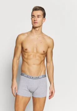 Pier One 5 PACK - Panties - Dark Blue/mottled Grey 11 Pier One 5 PACK - Panties - Dark Blue/mottled Grey -Kleidung PierOne Store e7caeaa5acd24759bda5c052f66c01a6 1